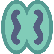Hope PNG Icon