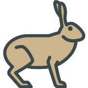 Hare PNG Icon