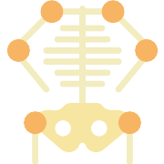 Skeleton PNG Icon