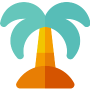 Palm Tree PNG Icon