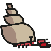 Hermit Crab PNG Icon