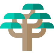 Cedar PNG Icon