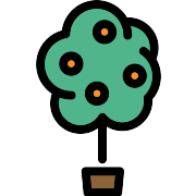 Lemon Tree PNG Icon