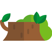 Log PNG Icon