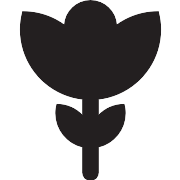 Flower With Leeves PNG Icon