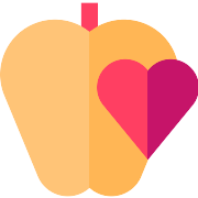 Health Care PNG Icon