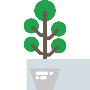 Plant PNG Icon
