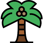 Palm Tree PNG Icon