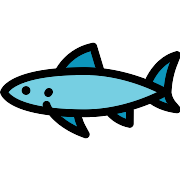 Shark PNG Icon