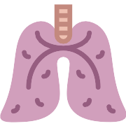 Lungs PNG Icon