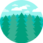 Spruce PNG Icon