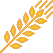 Grain PNG Icon