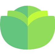 Lettuce PNG Icon