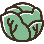 Lettuce PNG Icon