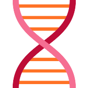Dna Structure PNG Icon